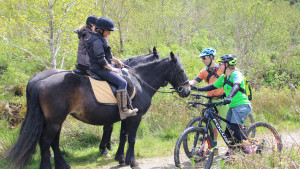 Encountering horses while bike riding