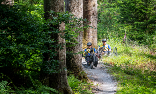 Two club riders on hand cycles on a forest trail