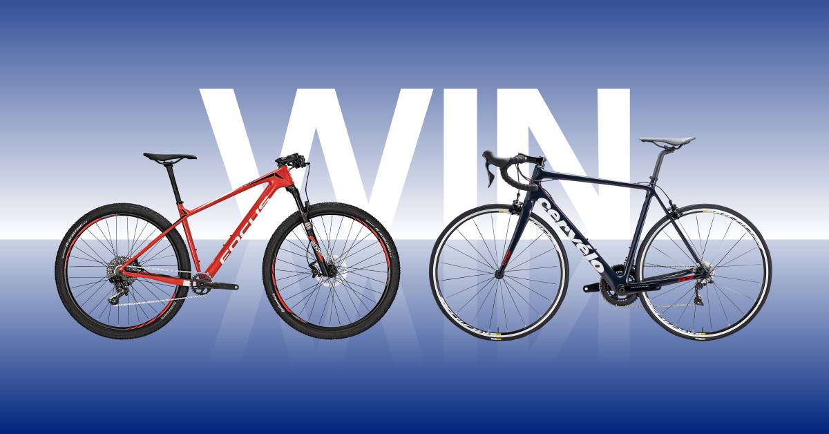 cervelo focus