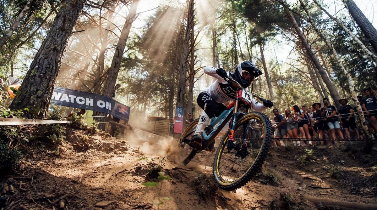 uci world cup dh standings