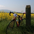 Velo29-Altura Daffodils Sportive related article