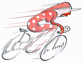 Cycle Sportive
