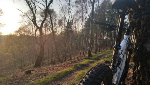Education in the outdoors: Mountain biking on Cannock Chase