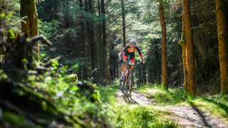 National XC Marathon Champions at Kielder Forest, rider cycling through forest on track with light behind the rider.