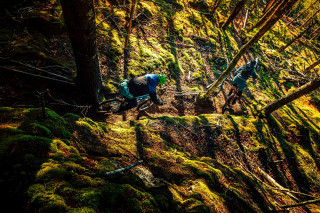 Two mountain bike riders following a trail in a forest
