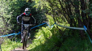 Weekend Events Report: 27th/28th 2019