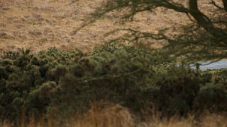 Where to Ride: Lancashire