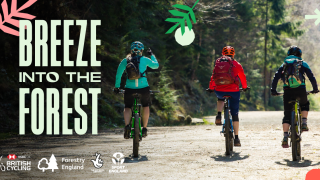 HSBC UK Breeze goes off-road with new Forestry England partnership