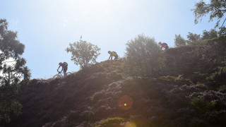 Countryside access for mountain biking