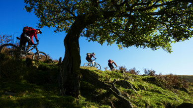 Mountain bike technique &amp;amp; training